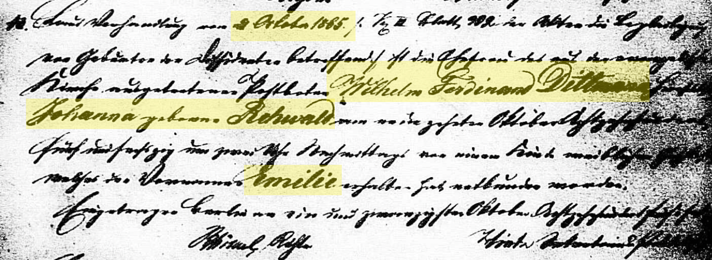 Emilie's 1865 birth record.