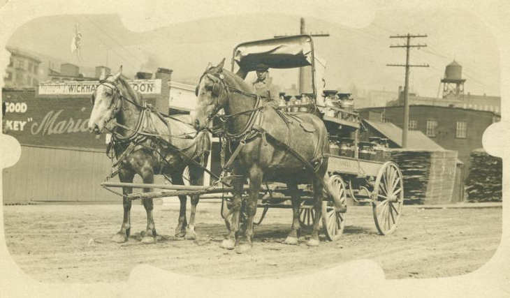 An 1898 photograph of a horsedrawn milk cart. 
